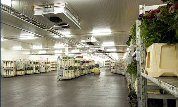 寧波建冷庫(kù)多少錢一立方？每立方能存多少貨物